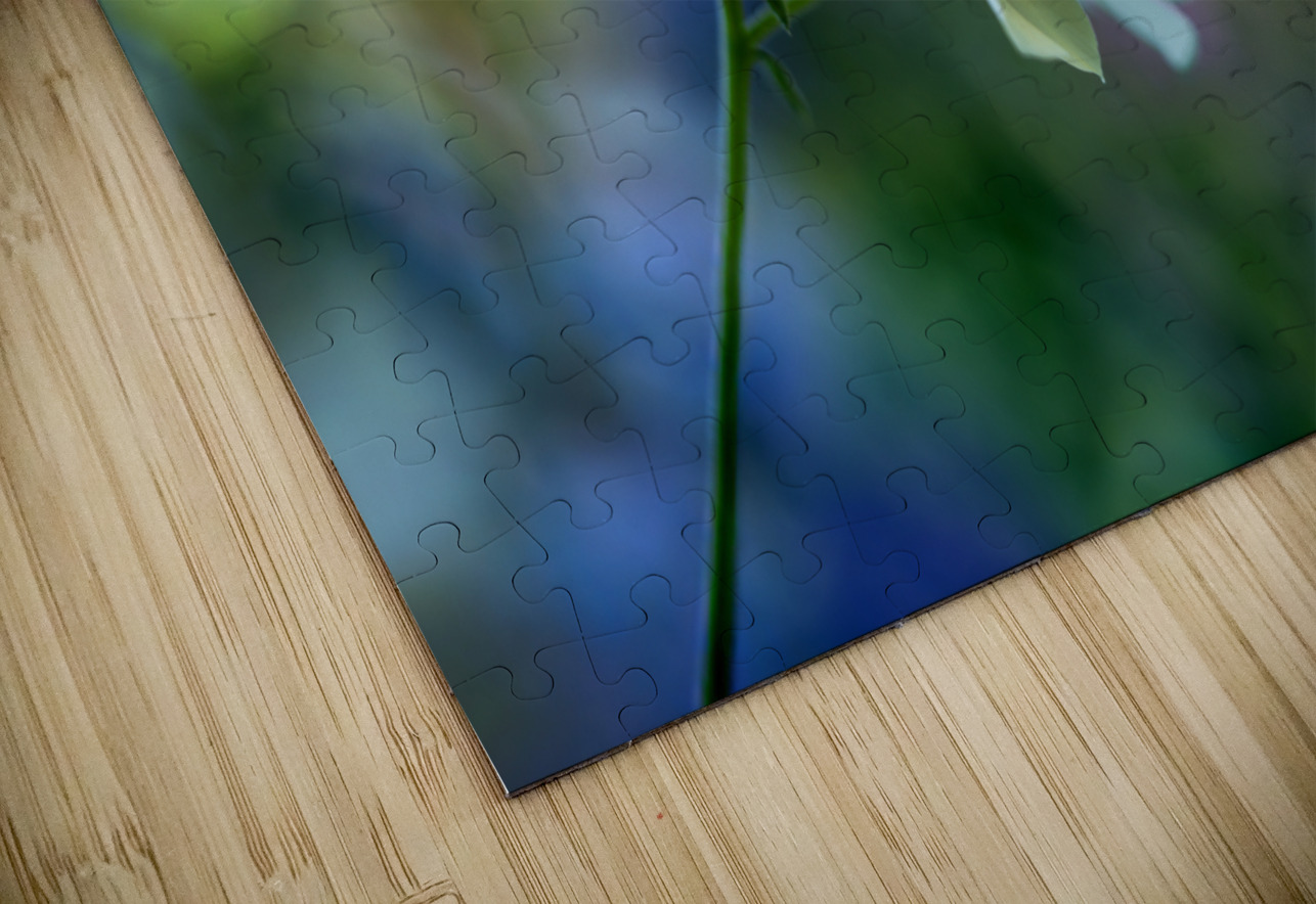 Dreamy State 2 Suzanne Bonin Puzzle