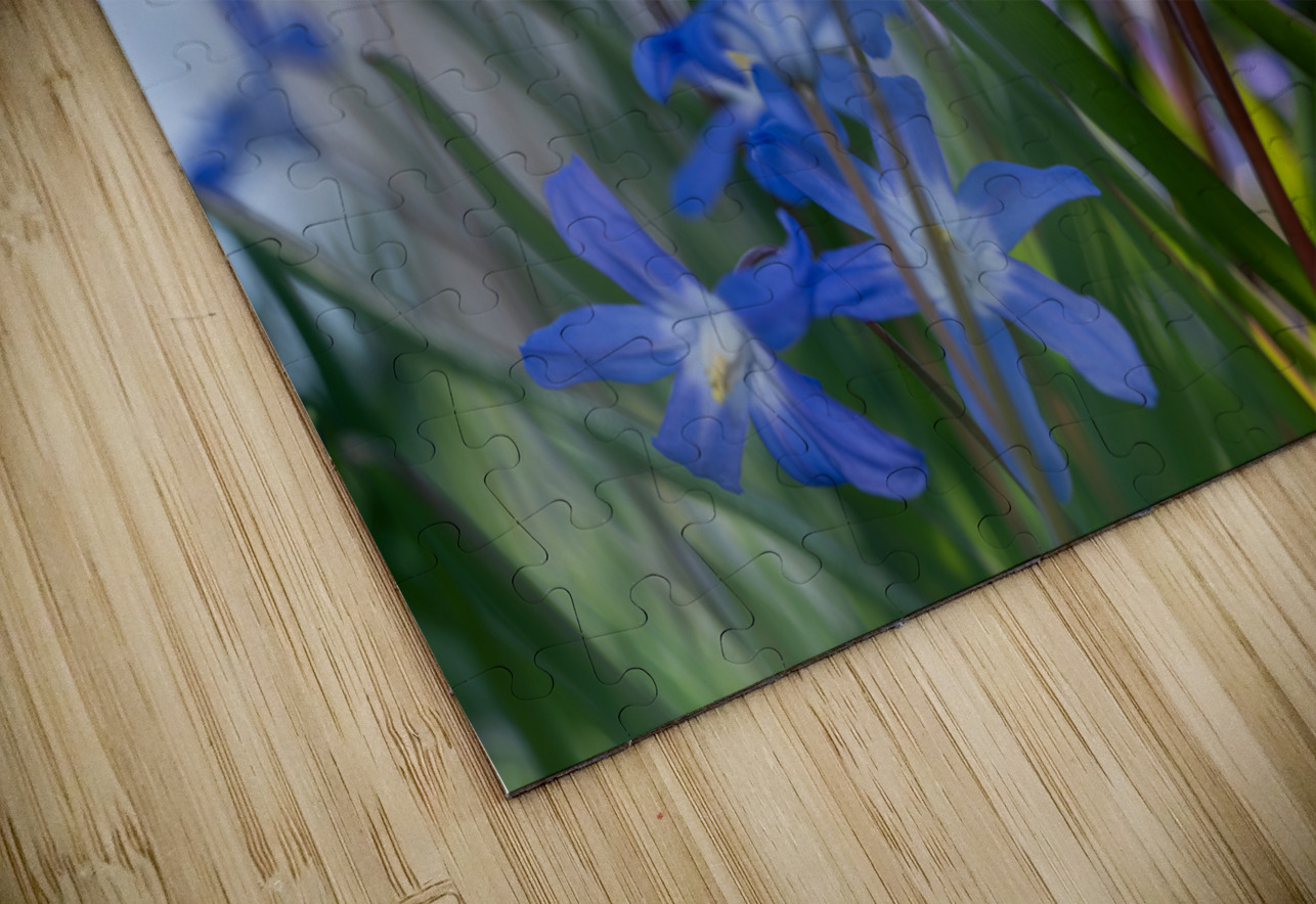 Little Blue Bulbs Suzanne Bonin Puzzle