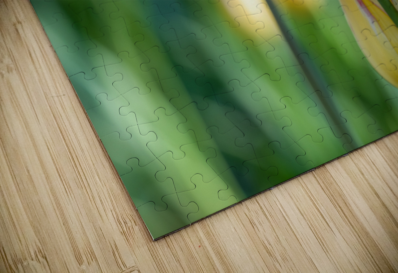 Sunlit Serendipity Suzanne Bonin Puzzle