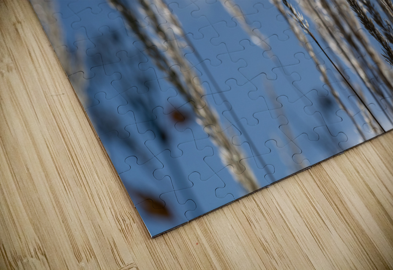 Silver Grass Suzanne Bonin Puzzle