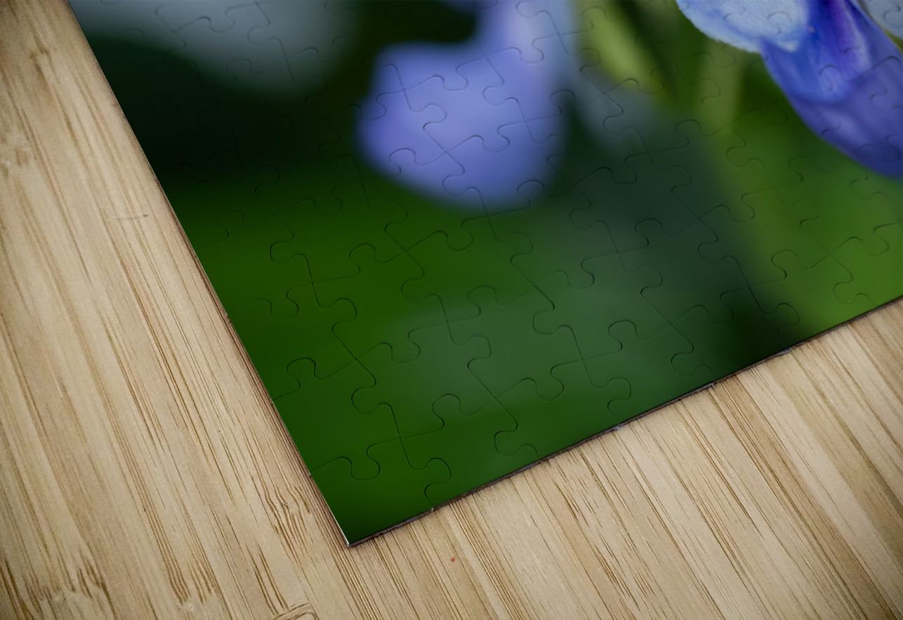 Beetle Killer Suzanne Bonin Puzzle