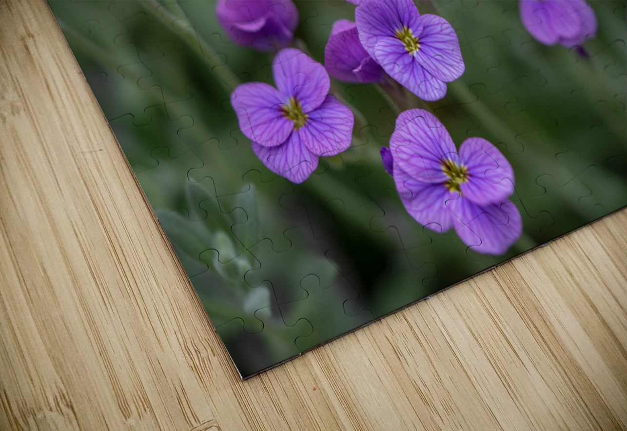 Lilacbush Suzanne Bonin Puzzle