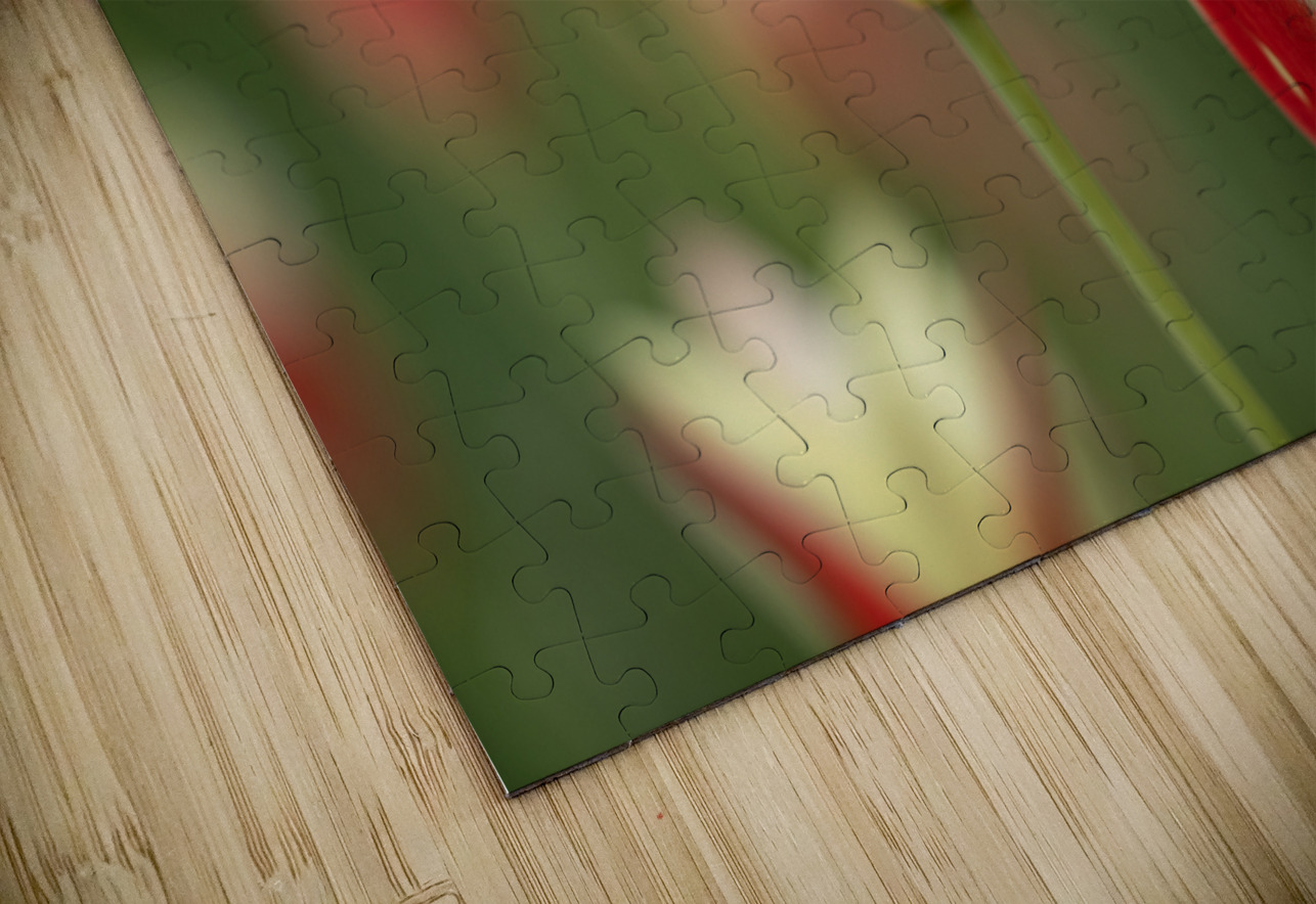 Tranquil Tulips Suzanne Bonin Puzzle