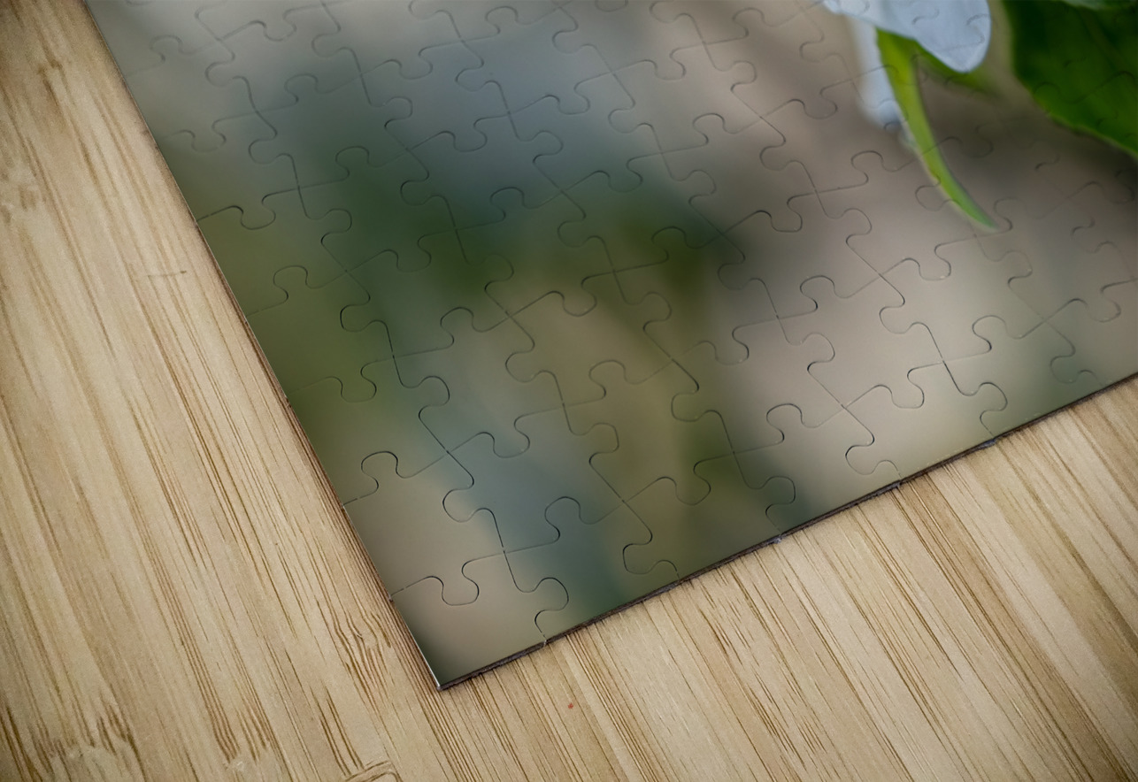 Whispering Blooms Suzanne Bonin Puzzle