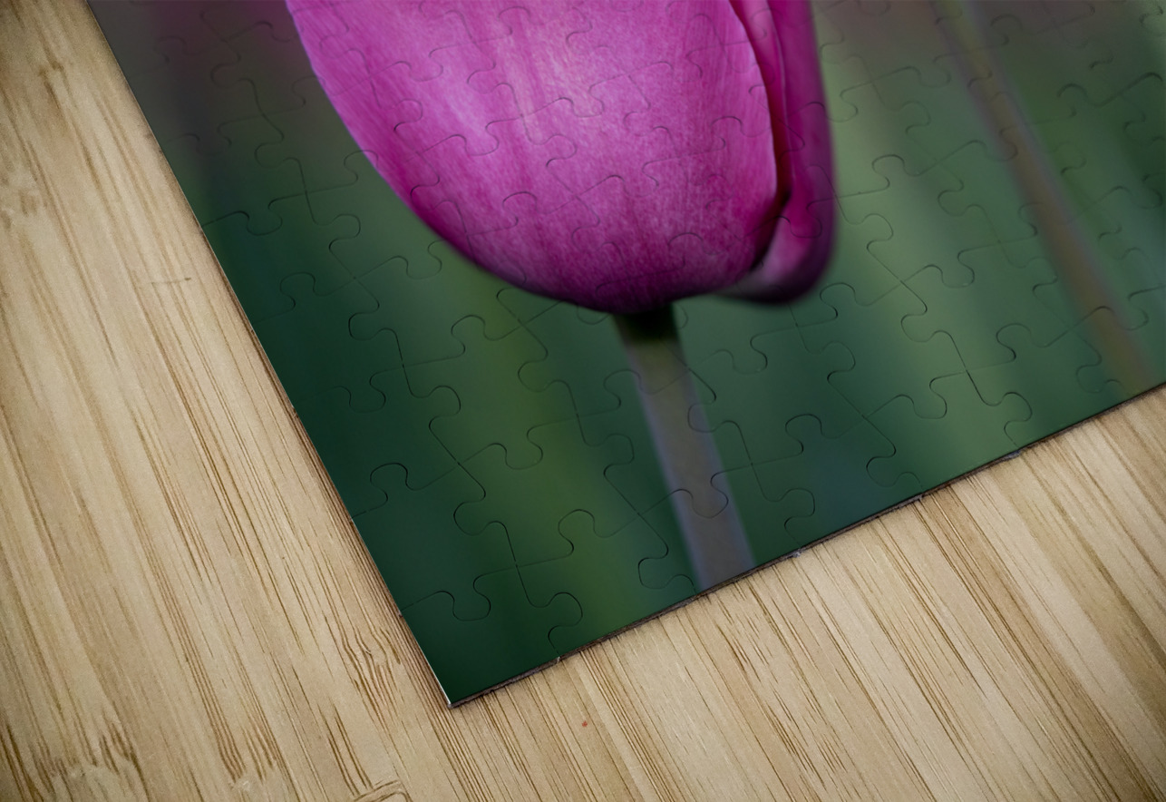 Bubblegum Bloom Bliss Suzanne Bonin Puzzle