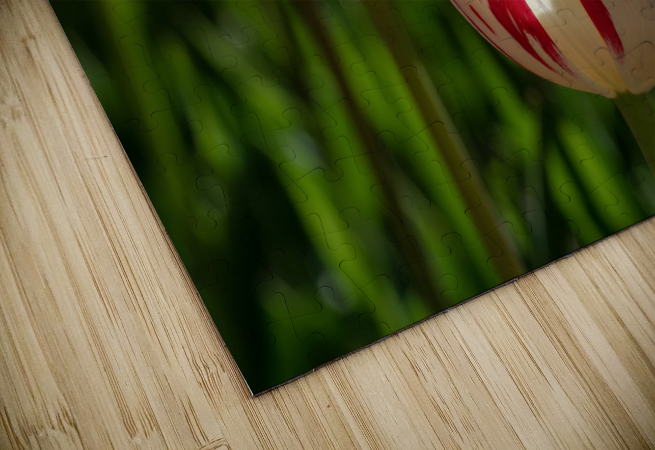 Petal Perfection Suzanne Bonin Puzzle