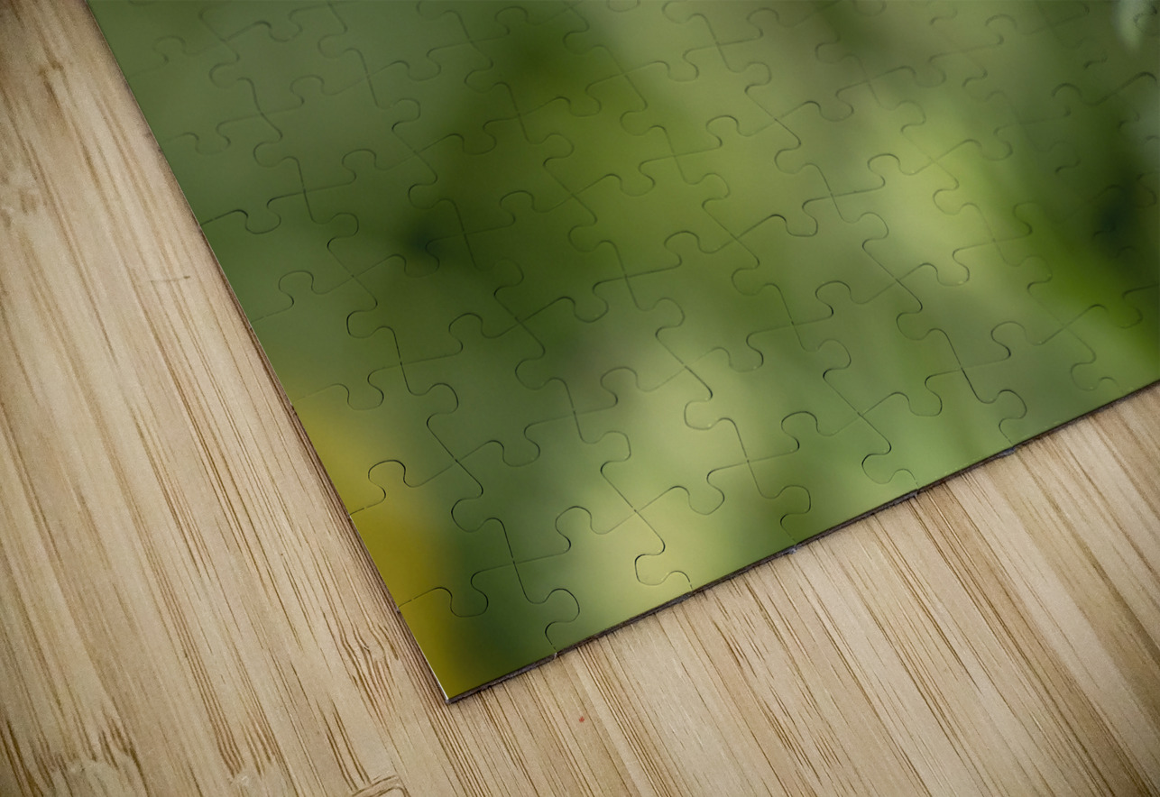 Aster Bud Suzanne Bonin Puzzle