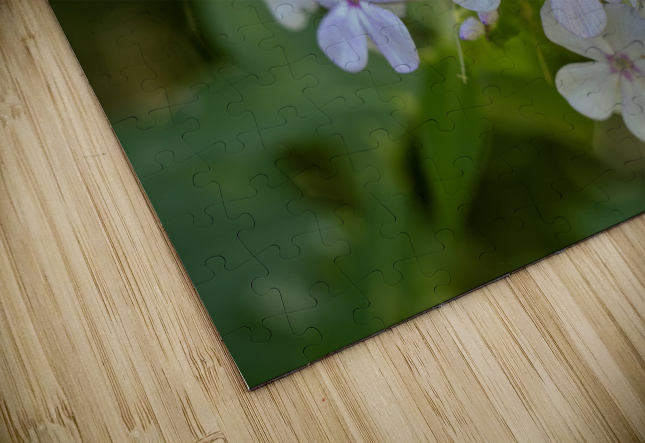 Enchanted Serenade Suzanne Bonin Puzzle