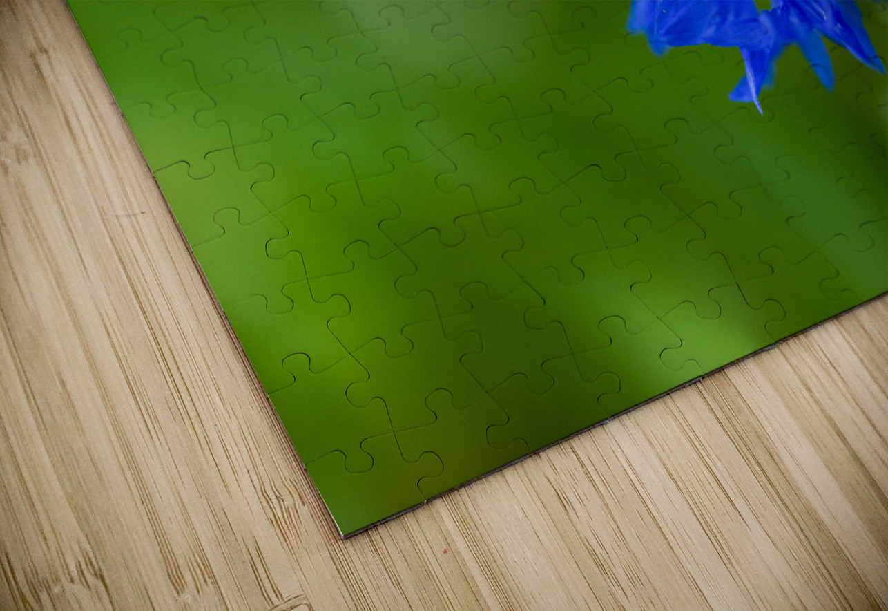 Celestial Elegance Suzanne Bonin Puzzle