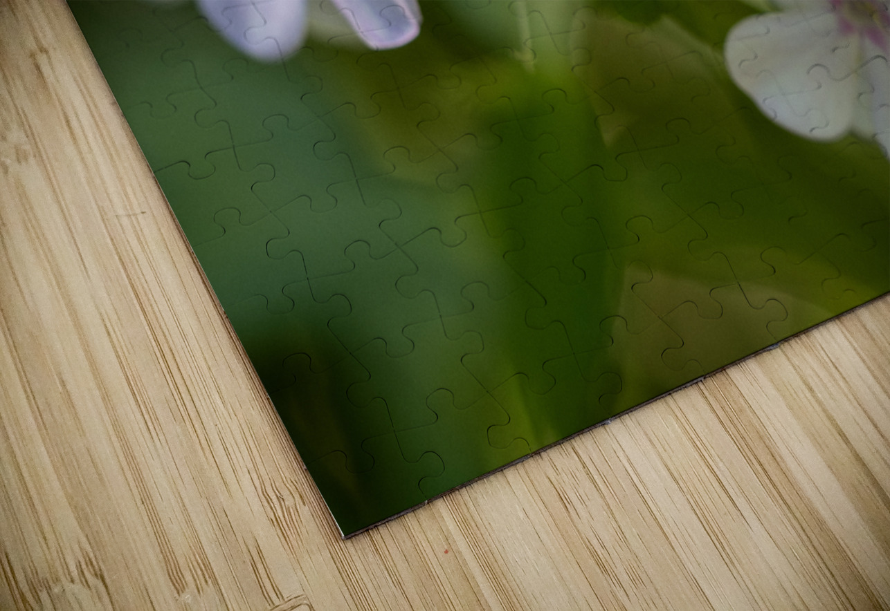 Mellow Melody Suzanne Bonin Puzzle