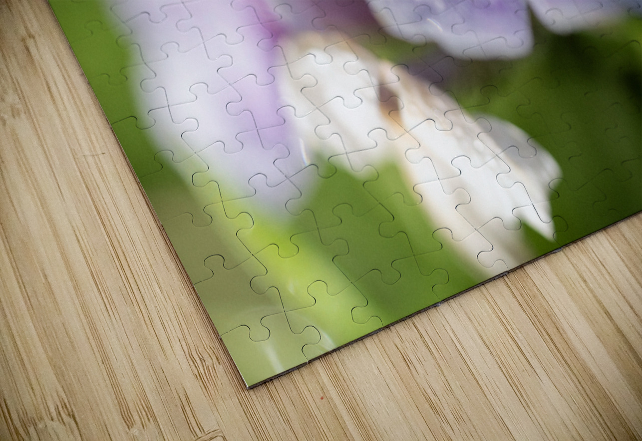 Scarlet Pimpernel Suzanne Bonin Puzzle