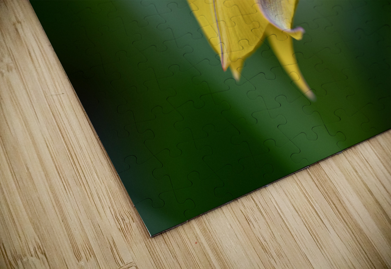 Yellow Bliss Suzanne Bonin Puzzle