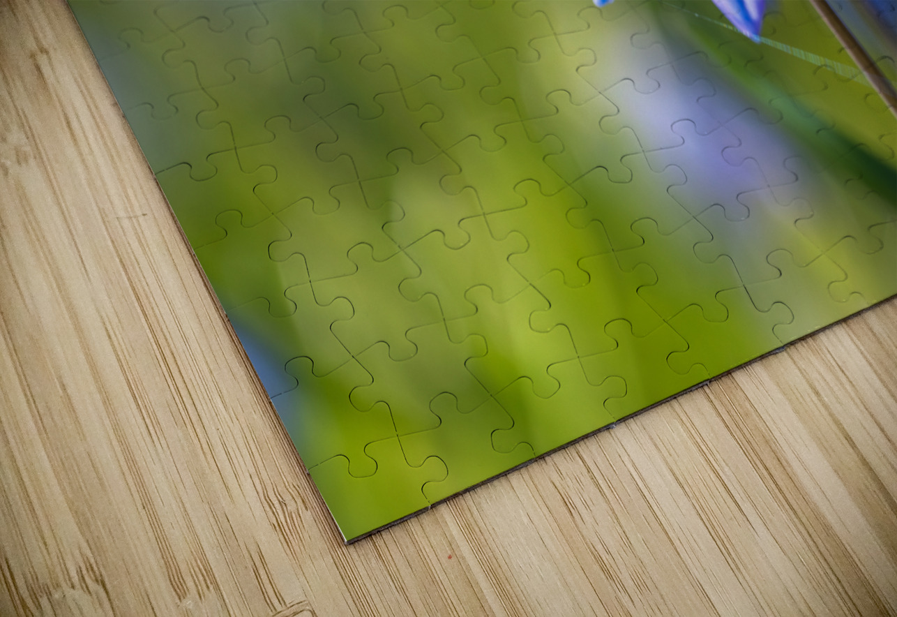 Blue Umbrella Suzanne Bonin Puzzle