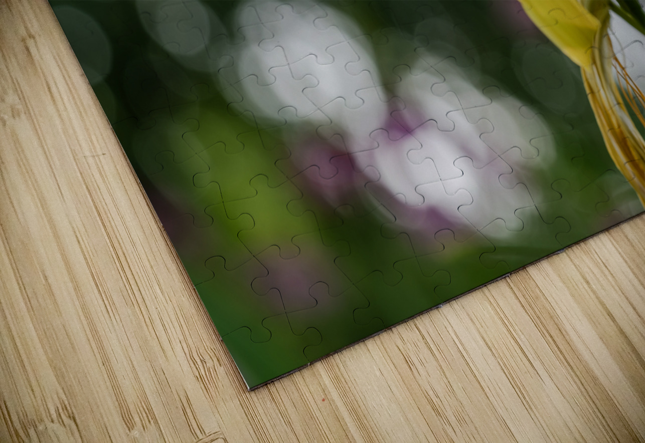 Call Me Lily Suzanne Bonin Puzzle