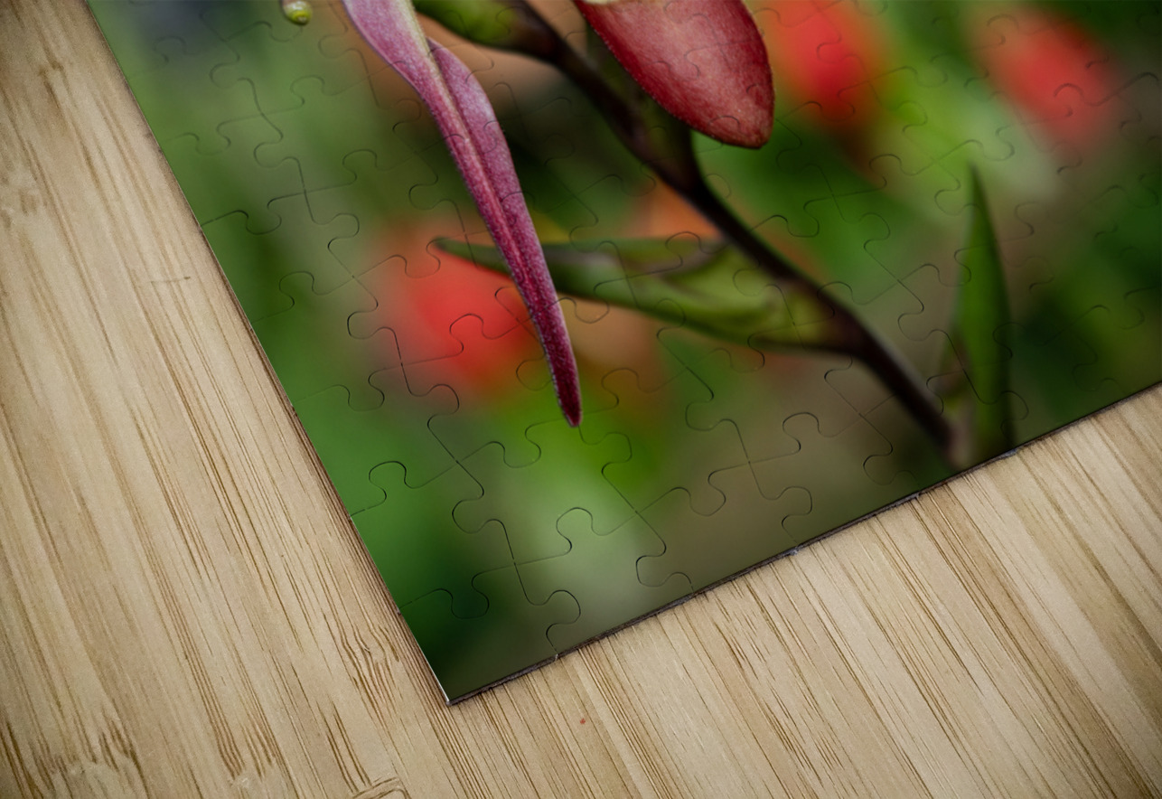 Call Me Willie Suzanne Bonin Puzzle