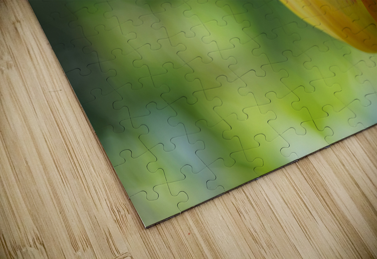 In the Foreground Suzanne Bonin Puzzle