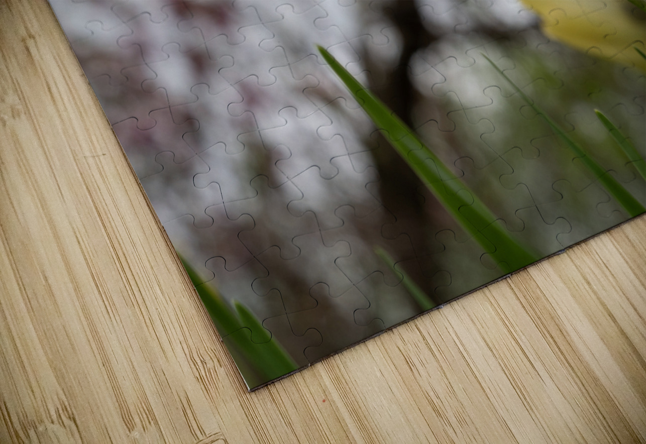 In Good Company Suzanne Bonin Puzzle