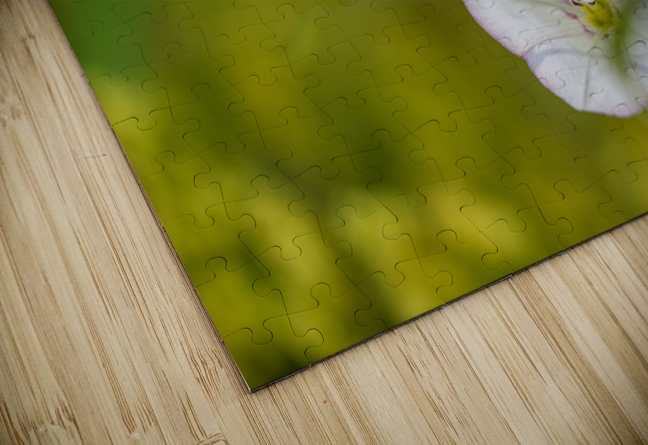 Little Glass 2 Suzanne Bonin Puzzle