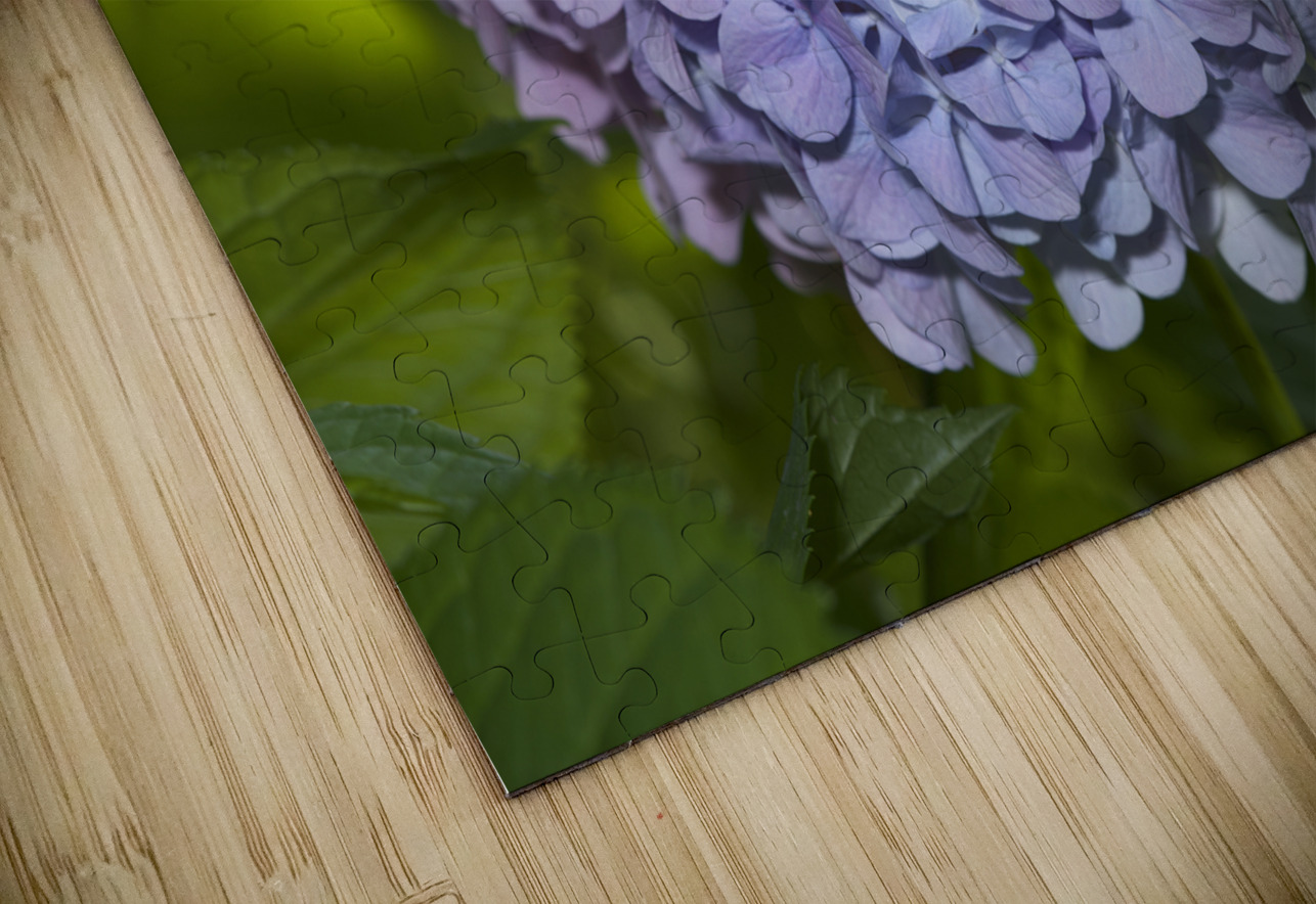 Lilac Hydrangea Suzanne Bonin Puzzle