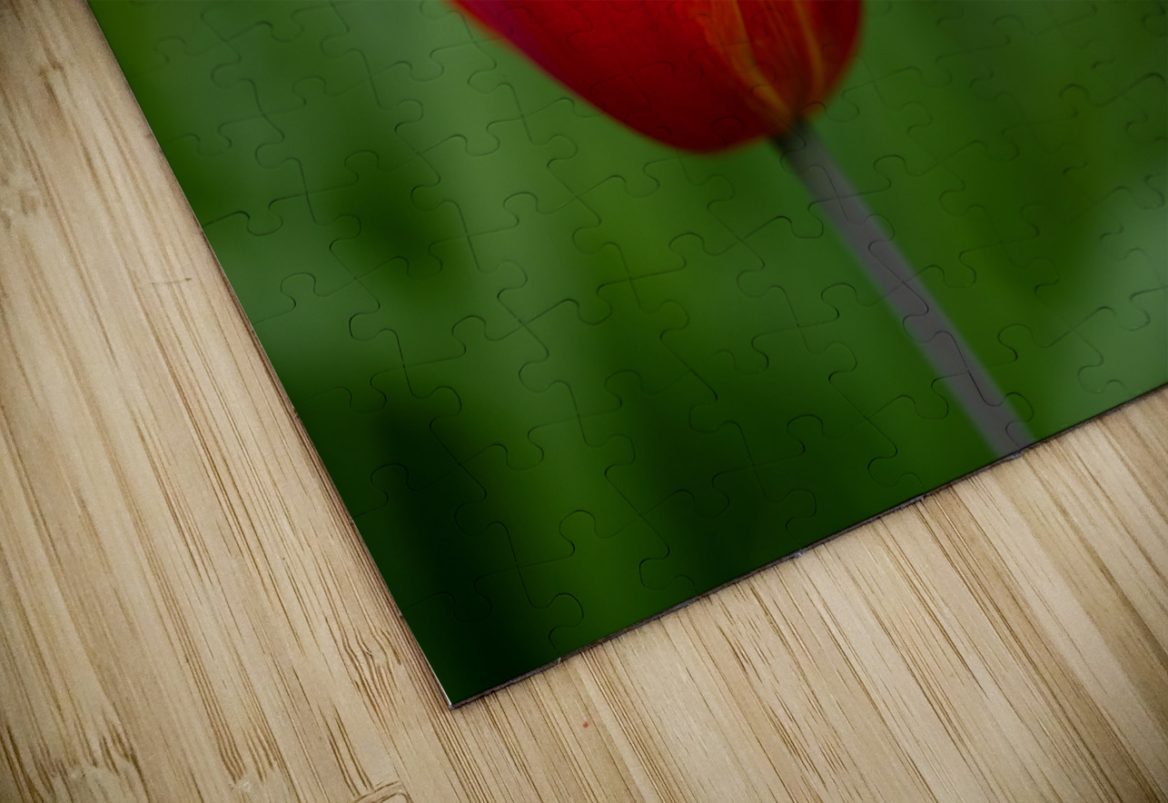 Lovely in Red Suzanne Bonin Puzzle