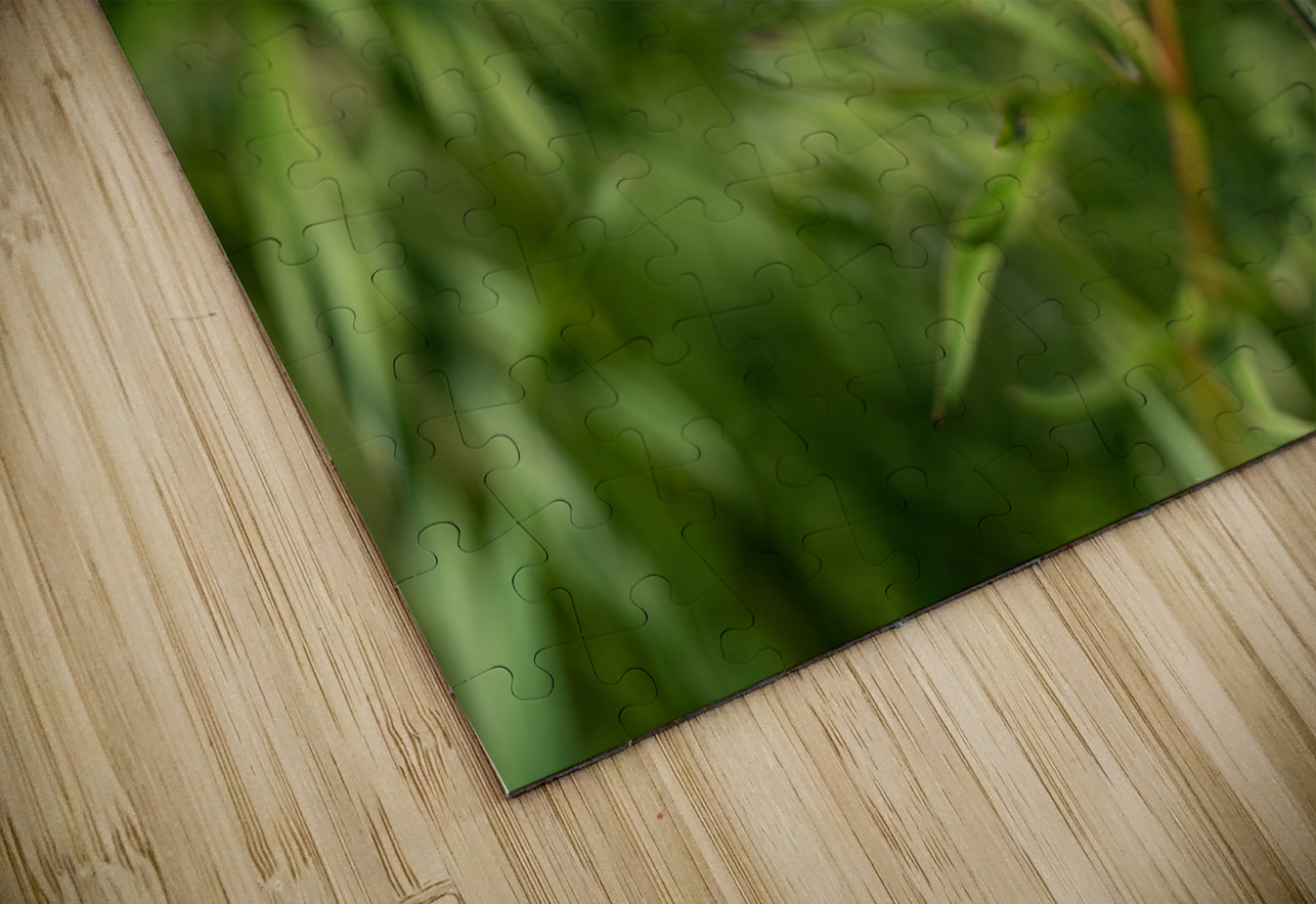 Resilient One Suzanne Bonin Puzzle