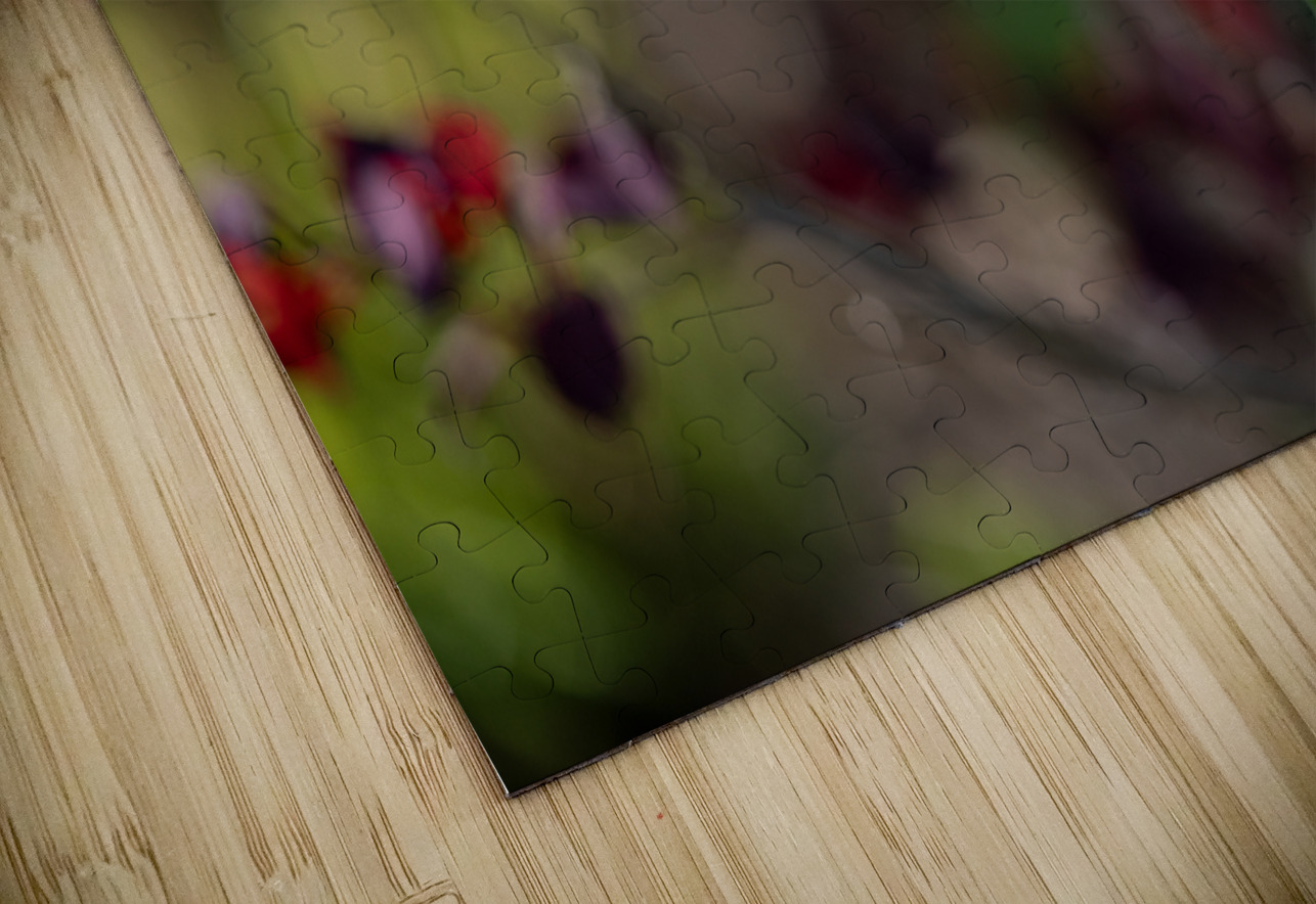 Snow White Suzanne Bonin Puzzle