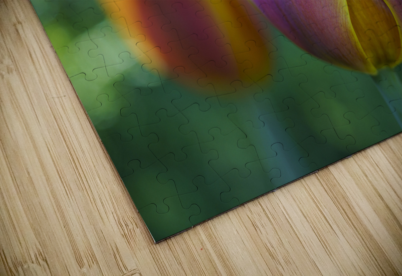 Pastel Colored Lady Suzanne Bonin Puzzle