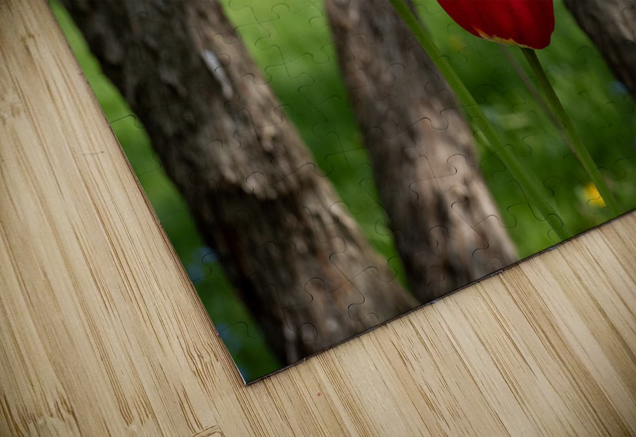 Under the Trees Suzanne Bonin Puzzle