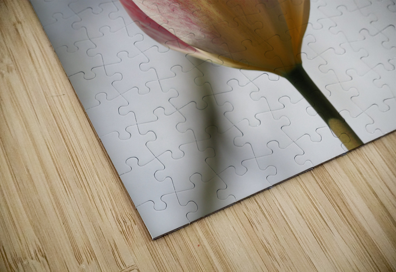 Cheerful Lady Suzanne Bonin Puzzle