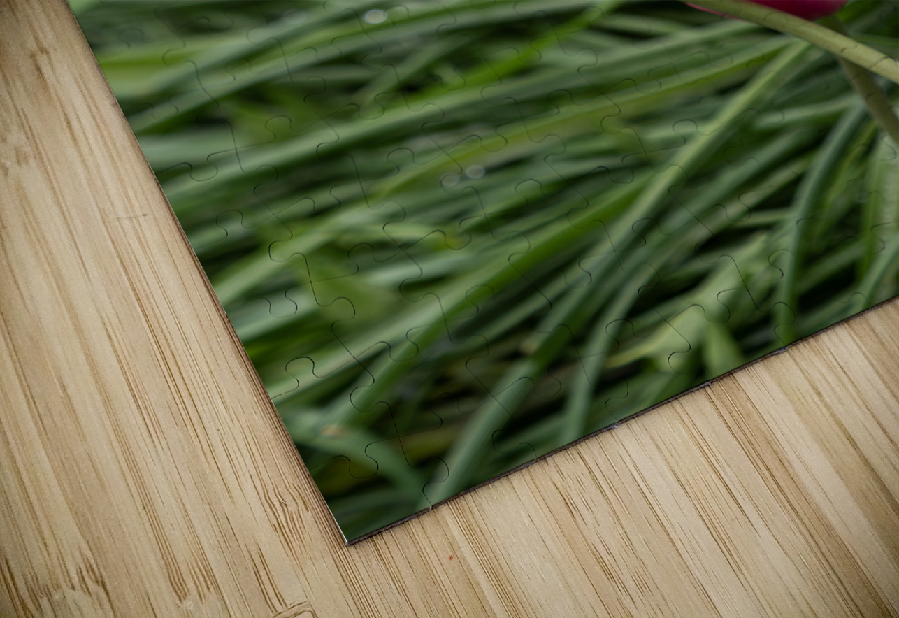 Loving You Suzanne Bonin Puzzle