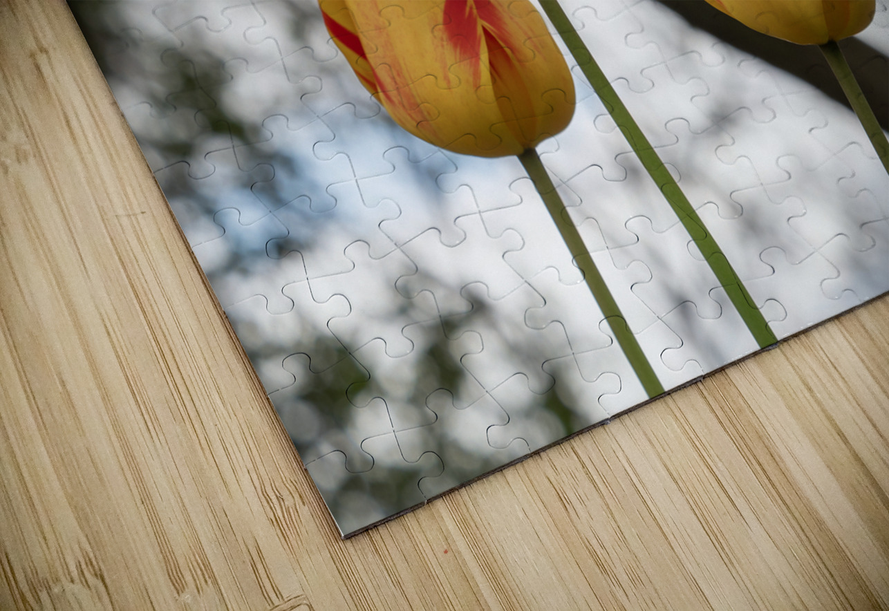 Three Peas in a Pod Suzanne Bonin Puzzle