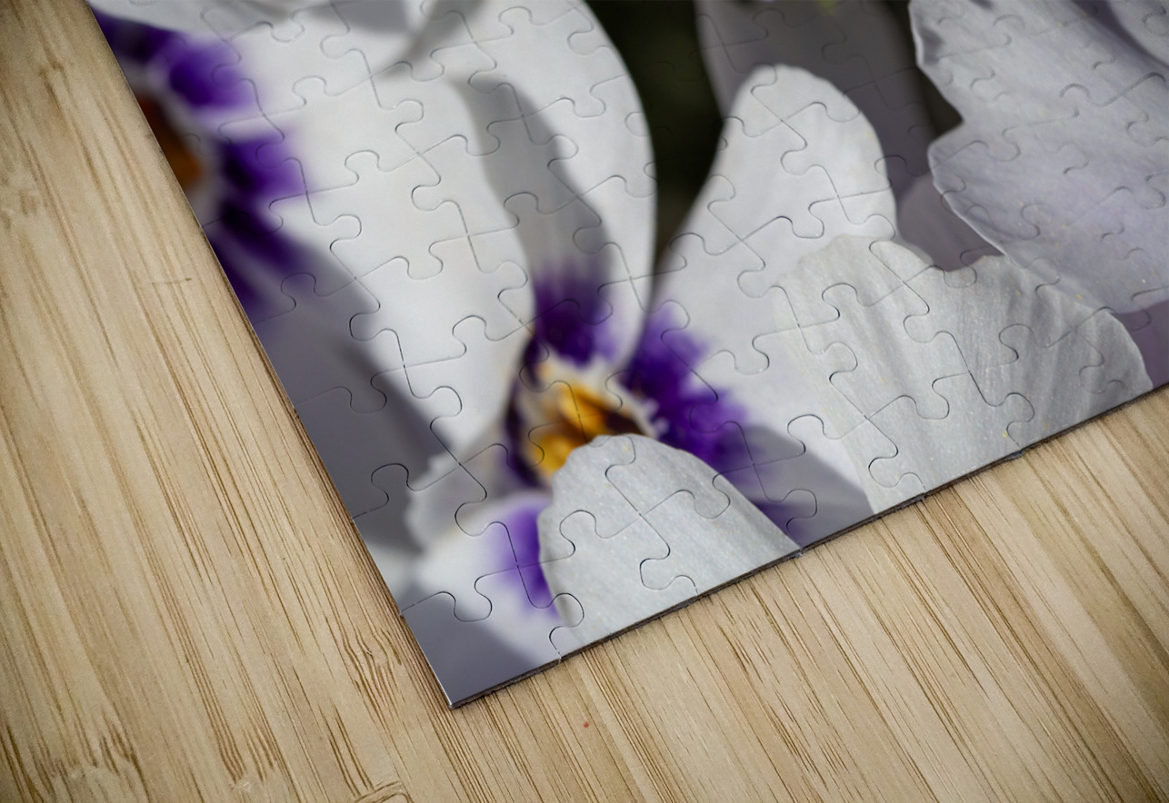 Pretty Nice Suzanne Bonin Puzzle