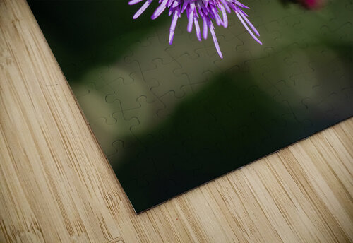 Blazing Star Suzanne Bonin puzzle