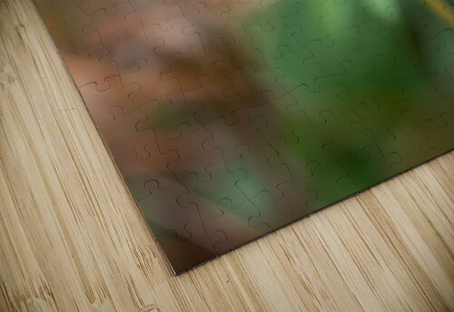 Geranium Closeup Suzanne Bonin puzzle