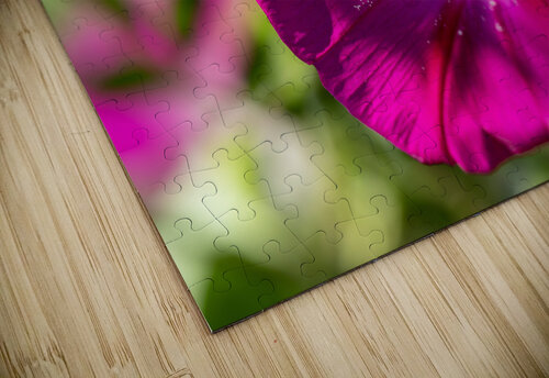 Pretty Trumpet Suzanne Bonin puzzle