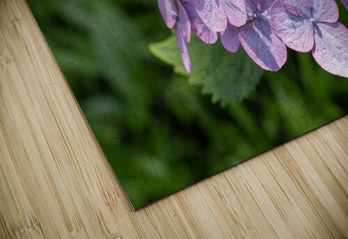 Penny Mac Suzanne Bonin puzzle