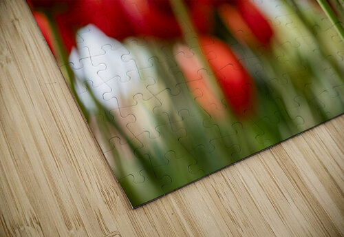 SBP6265 Suzanne Bonin puzzle