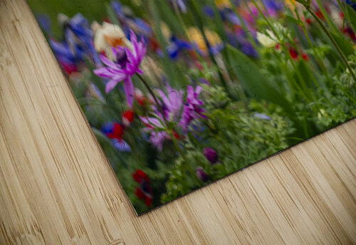 SBP5871 Suzanne Bonin puzzle