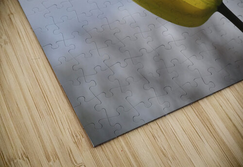 Alone Suzanne Bonin puzzle