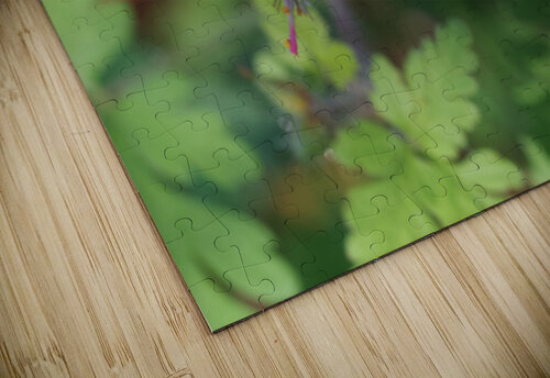 Little Robin Suzanne Bonin puzzle