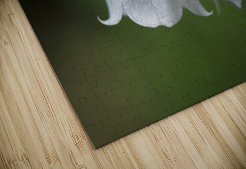 Bellflower Suzanne Bonin puzzle