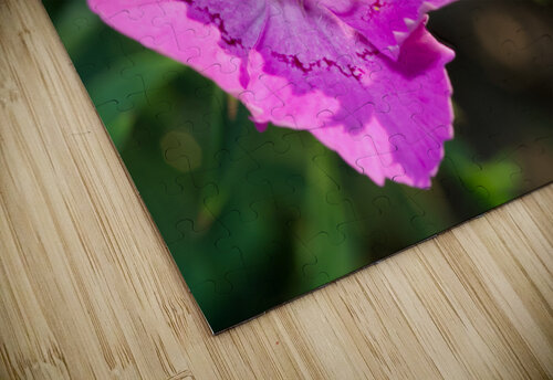 Maiden Pink Suzanne Bonin puzzle