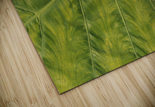 Giant  Leaf Suzanne Bonin puzzle