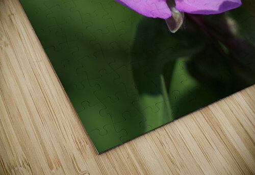 Visitor Suzanne Bonin puzzle