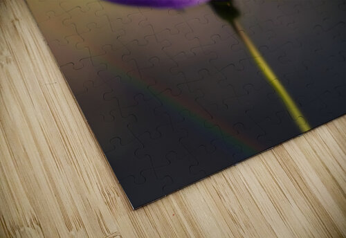 Welcome Suzanne Bonin puzzle