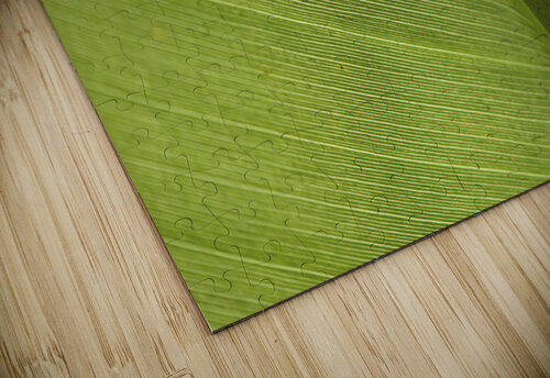 Some Leaf Suzanne Bonin puzzle