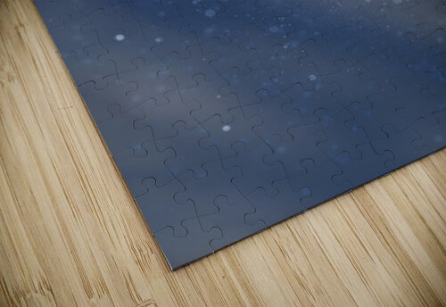 Frozen Top Suzanne Bonin puzzle