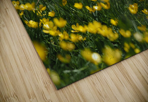 Tall Buttercup Field Suzanne Bonin puzzle