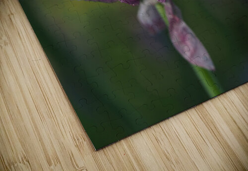 Dewy Chive Suzanne Bonin puzzle