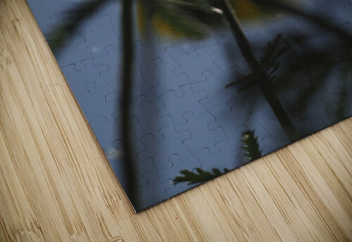 Ant Eye View Suzanne Bonin puzzle